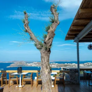 All inclusive Alissachni Mykonos - Nikiana -  - Griekenland