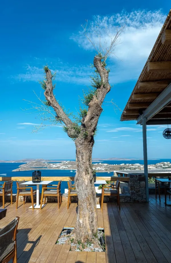 All inclusive Alissachni Mykonos - Nikiana -  - Griekenland